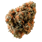 Flor Orange Cream Pop
