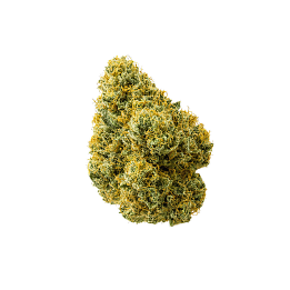 Flor Papaya Boom