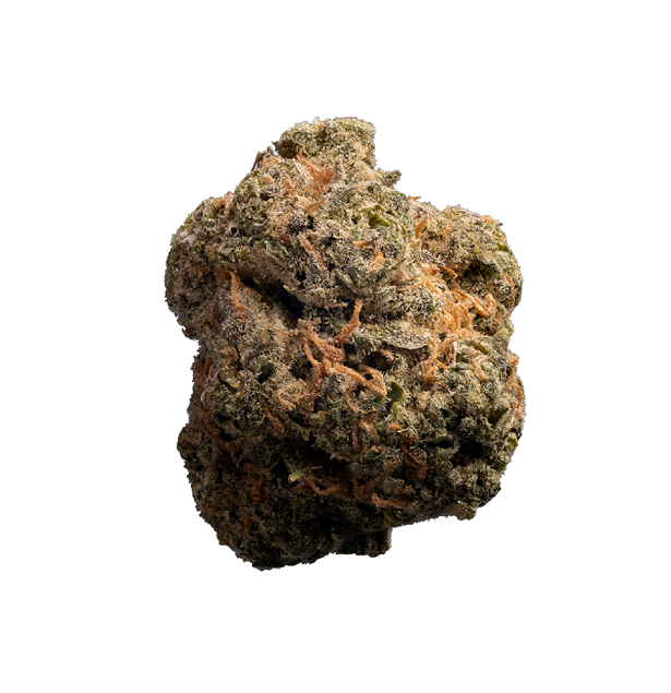 Notorious Gush flower